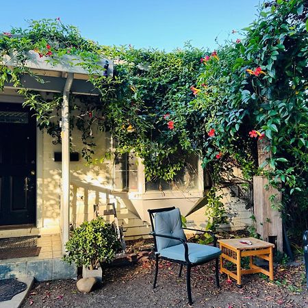 Cozy House Nested Around Trees E 聖荷西 外观 照片